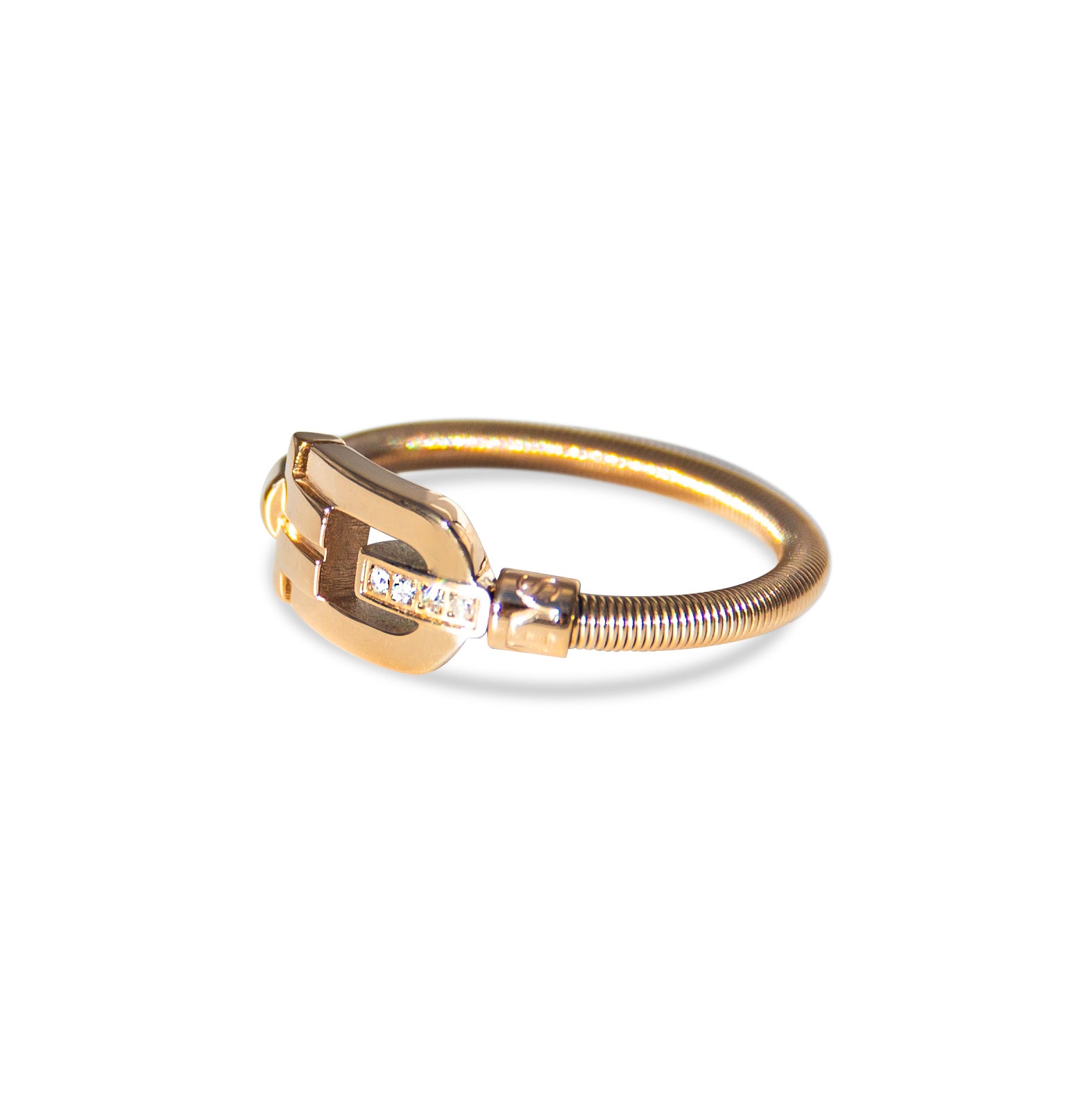 02 S1S31 0101 VEYS Ring S